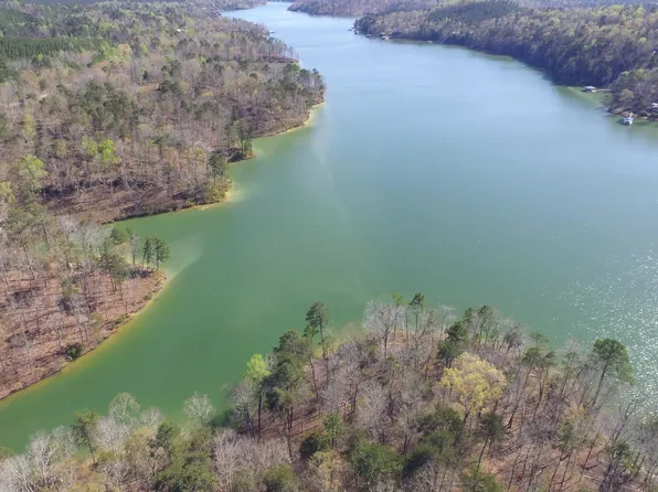 LOT 55 Lot 55 Flamingo, Addison, AL 35540