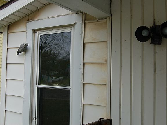 5th image of 381 Milburn Ave