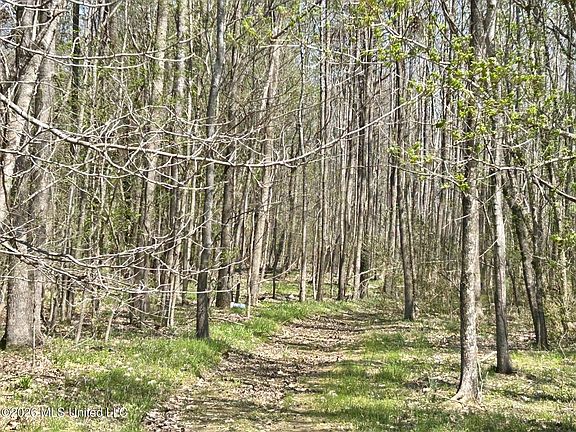 4th image of 2250 Bend Rd