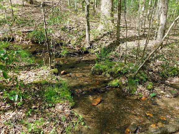 2nd image of Hidden Springs Dr