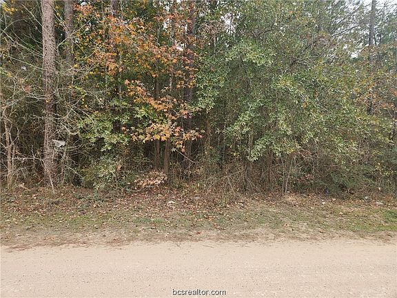 5th image of LOT 1 Yupon Ln