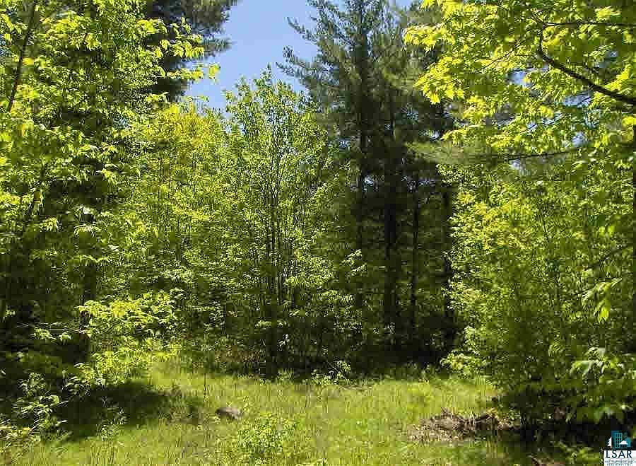 2nd image of Lot 2 E Cable Lake Rd