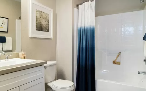 Luxury Bathrooms with Oversized Soaking Tubs - Amerige Pointe