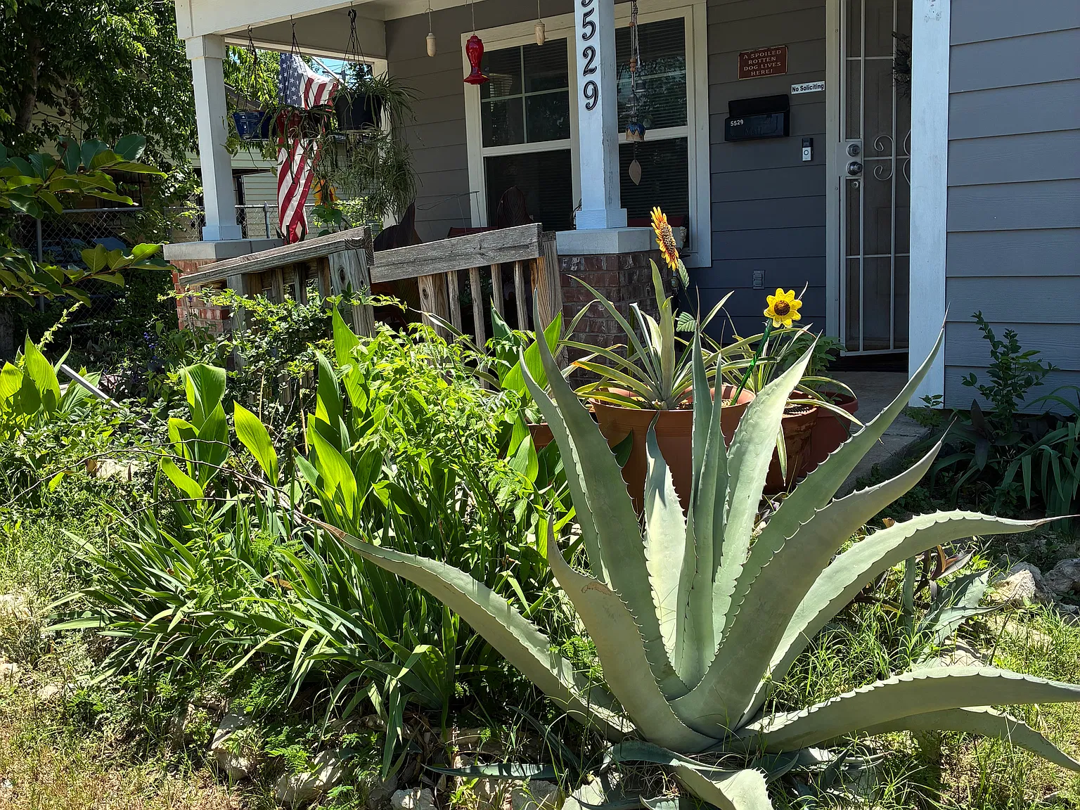3 bed, $750 — Photo 1