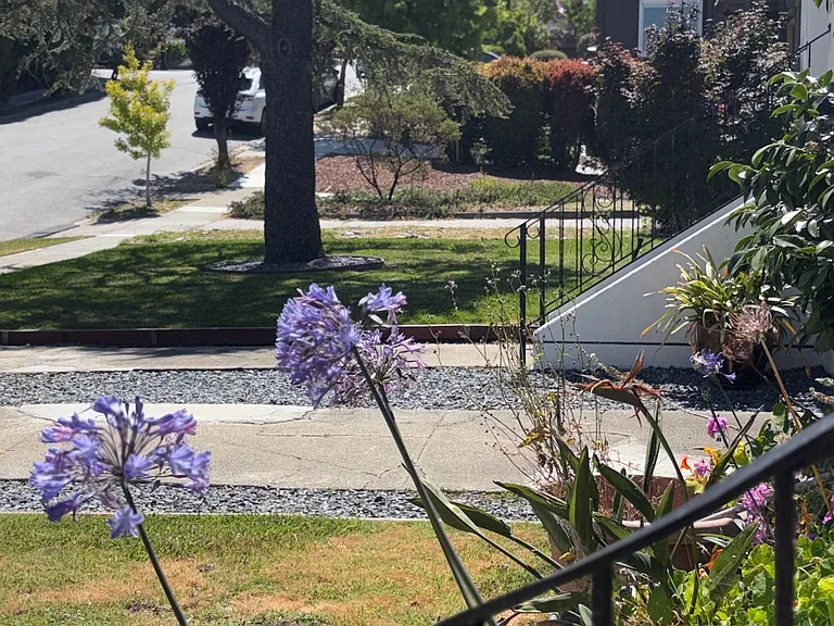 921 Laguna Ave — Photo 13