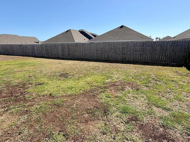 250 Boggy Creek Way — Photo 13