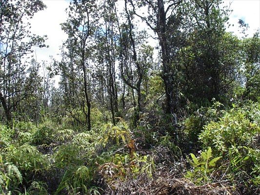 1st image of Road 7 Opeapea Lot 4567