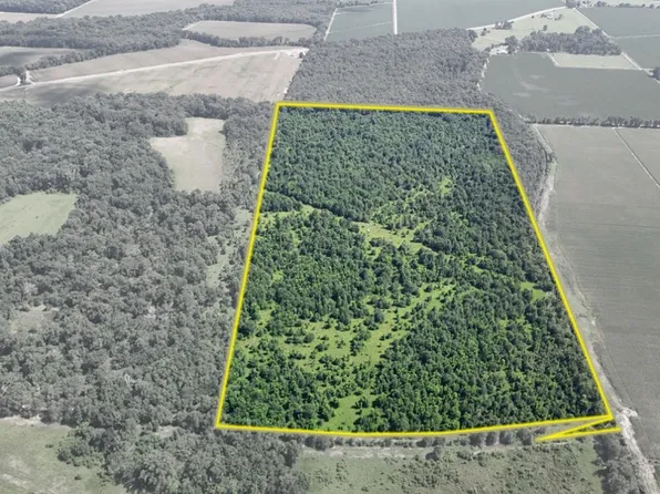 New Zion Rd Lot Wp001, Winnsboro, LA 71295