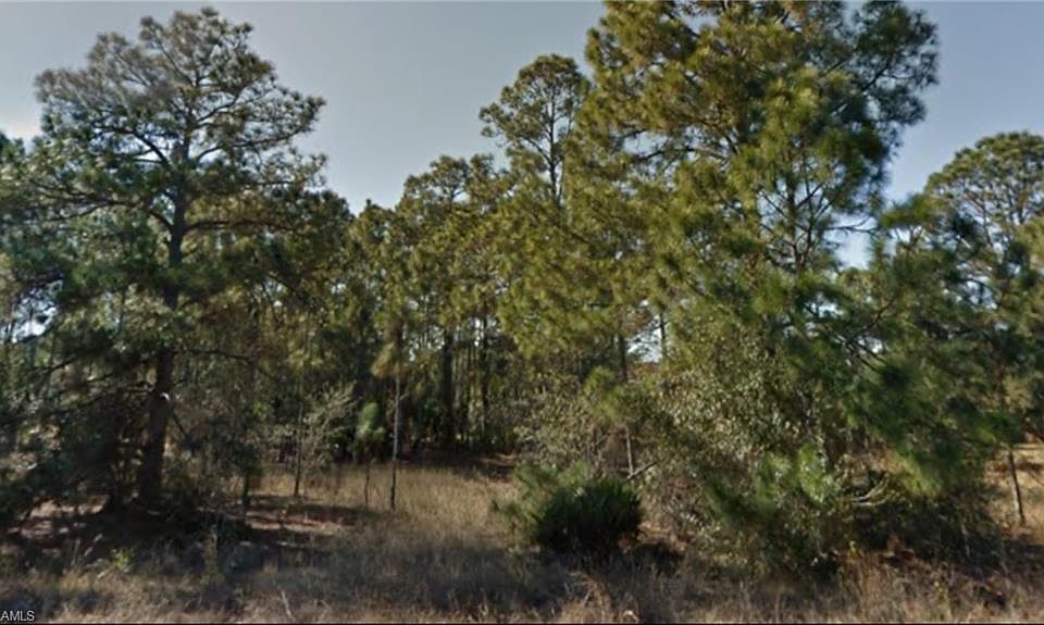 1st image of 519 Canton Ave Lot 22