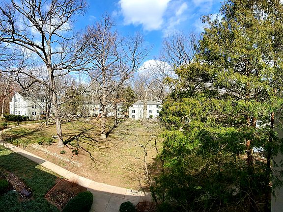 Living Room View