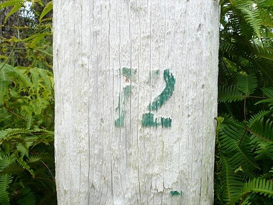 4th image of Kahukai St Lot 29