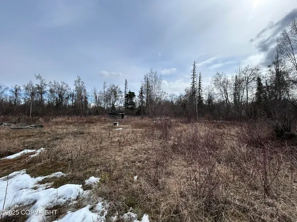 L1 & L6 S Trapline Rd, Trapper Creek, AK 99683