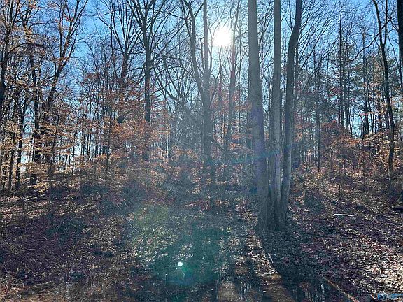 3rd image of 53 Beech Fork Ln