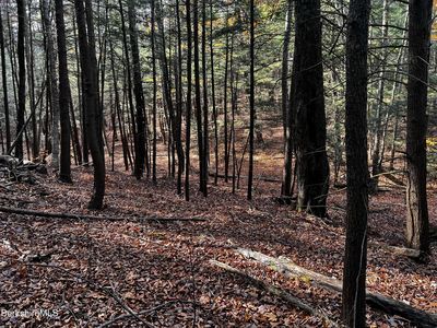 84 Moberg Rd, Becket, MA, 01223