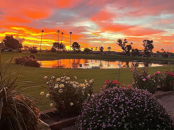 Sunrise from the patio