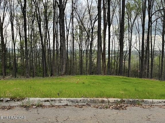 2nd image of LOT Ten Poplar Dr Lot 10