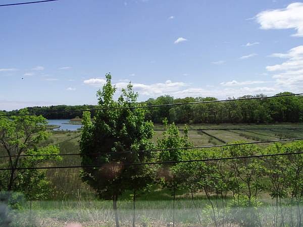 View from living room window