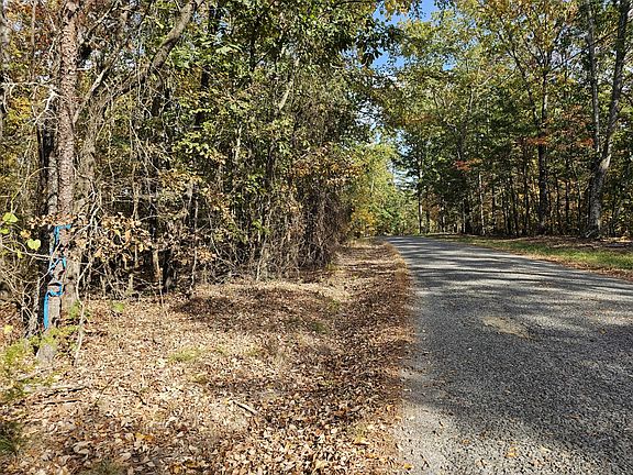 Looking east from the Western boundary along Bishop Mountain Road.  All flagging is approximate and is not guaranteed.