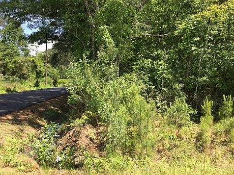 5th image of 17212 Old Covington Hwy