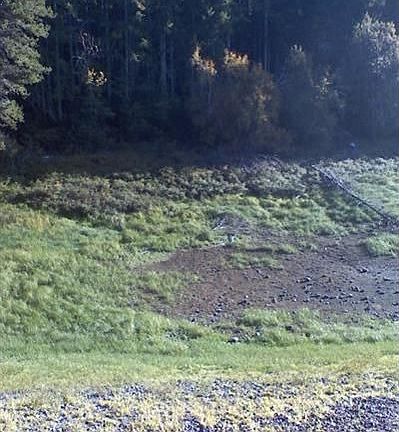 4th image of 351 NE Tahuya Blvd
