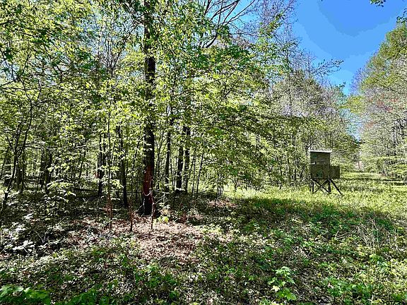 2nd image of State Highway 323 E