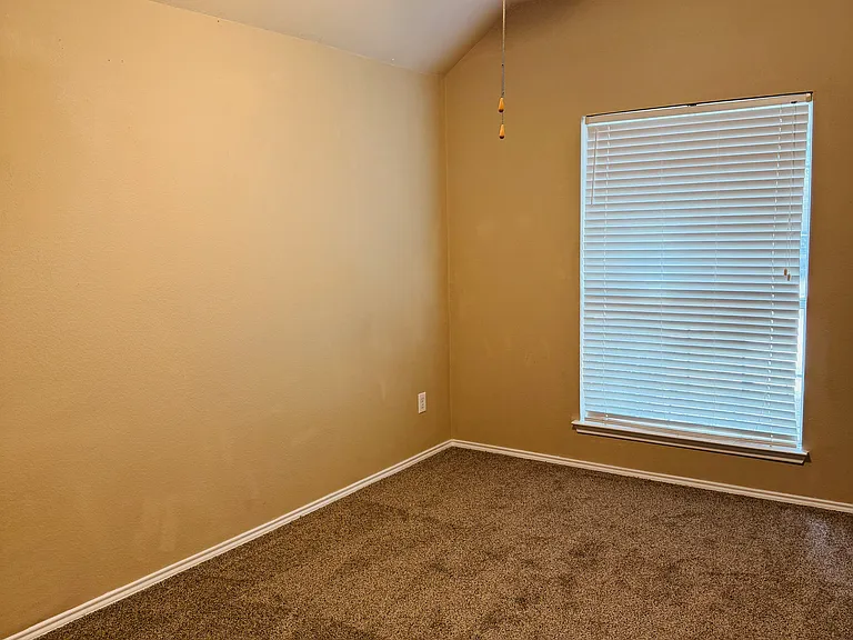 11956 Kingsville Dr — Photo 13