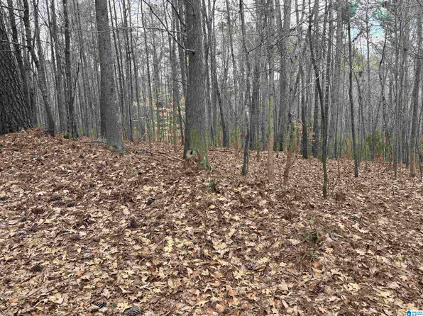 6901 Sellers Rd #0, Dora, AL 35062