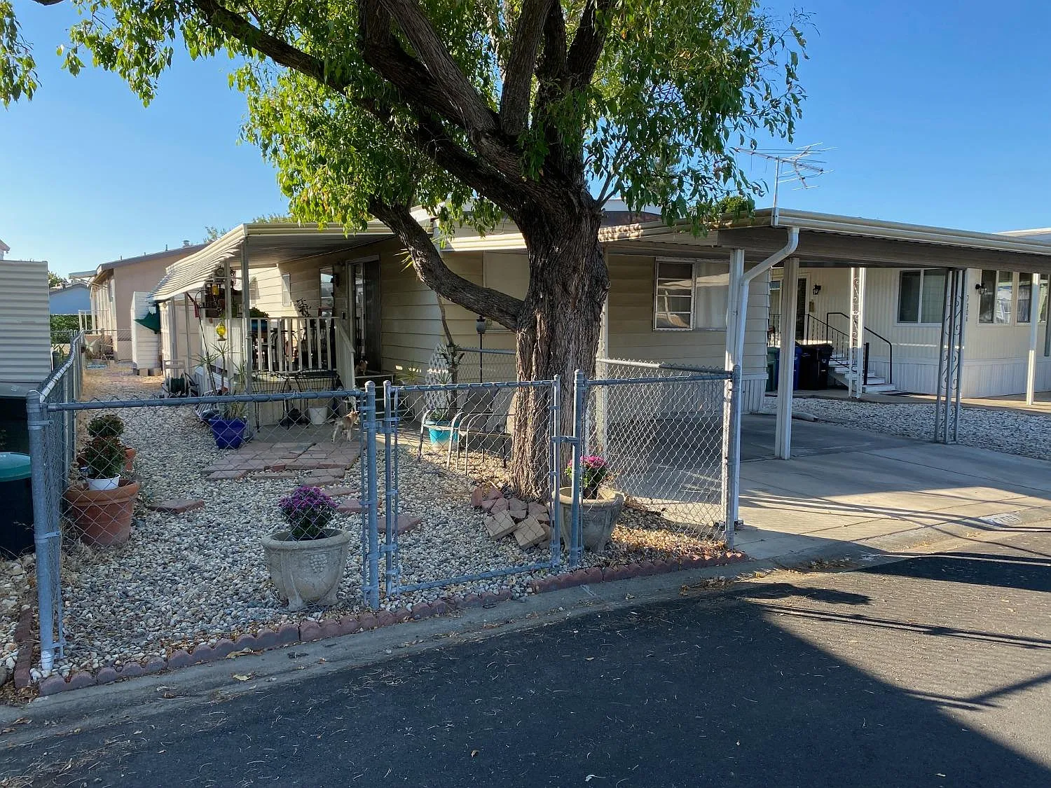 7706 La Reina Way photo 1