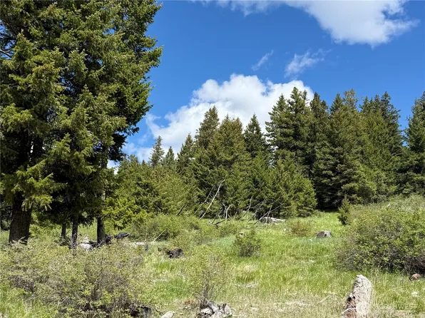 0 Toroda Creek Road, Wauconda, WA 98859