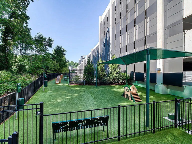 The pet agility park offers a shady spot for your dog