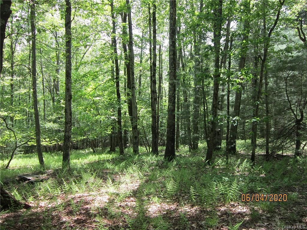 Milk Road, Greenfield Park, NY 12435 Zillow