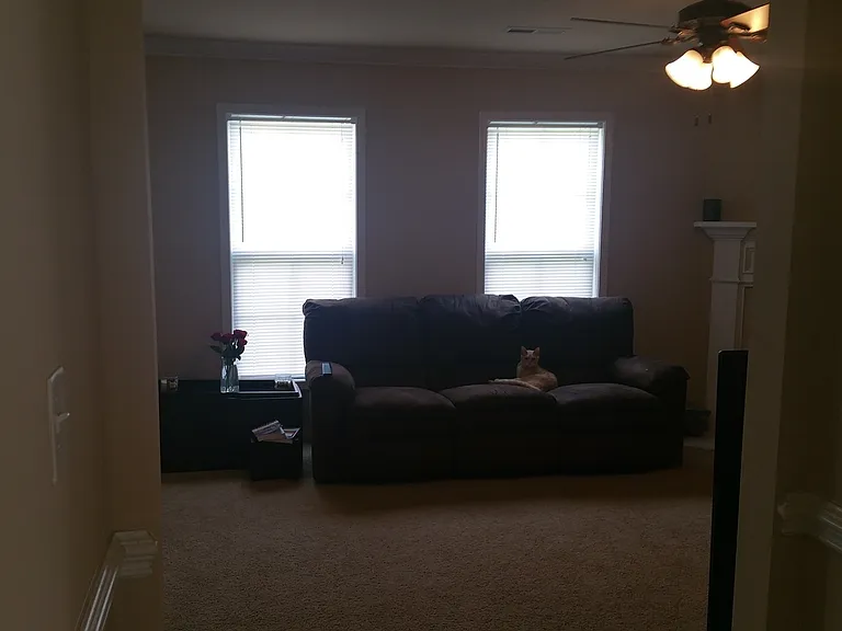 293 United Rd — Photo 6
