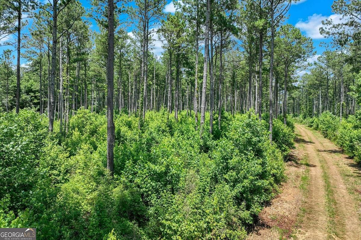 1425 Hargrove Lake Rd, Winterville, GA 30683 MLS 10324927 Zillow