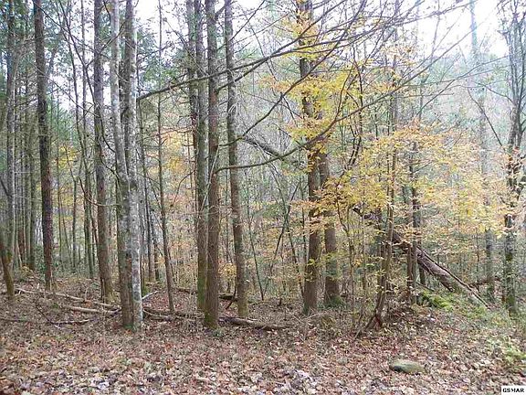 3rd image of 122 Creek Hollow Way Lot 122
