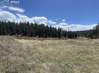 0 Wildhorn Rd, Florissant, CO 80816