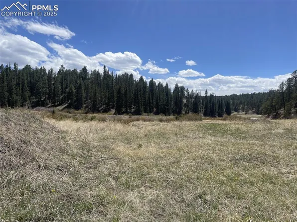 0 Wildhorn Rd, Florissant, CO 80816