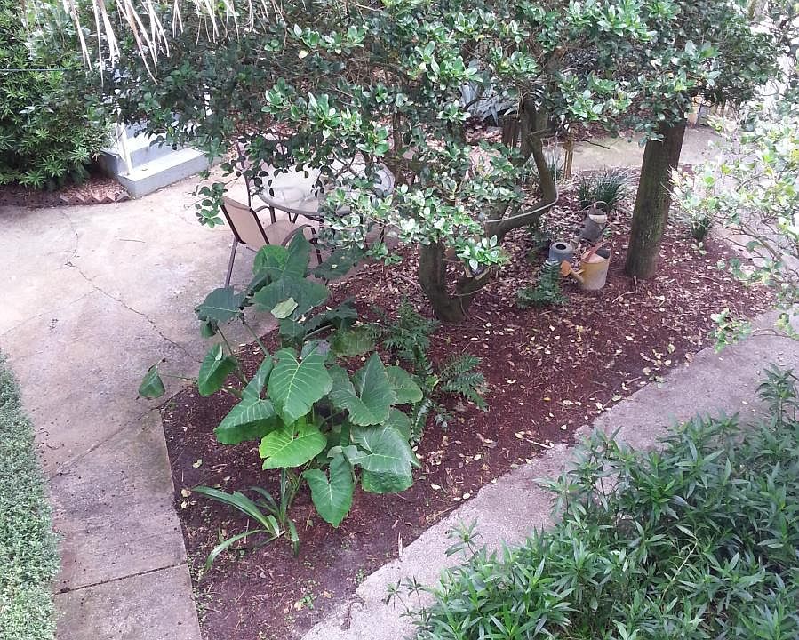BALCONY VIEW OF COURTYARD