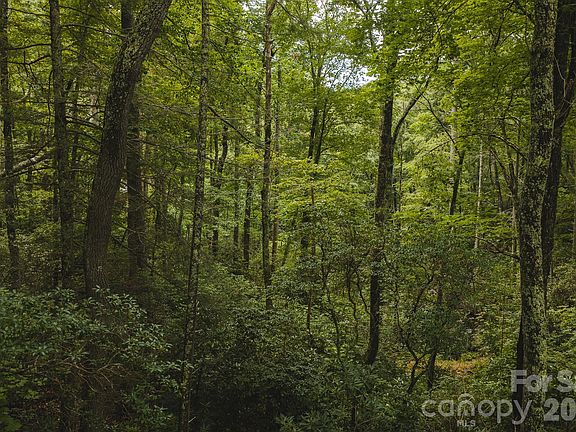 5th image of Yankee Run