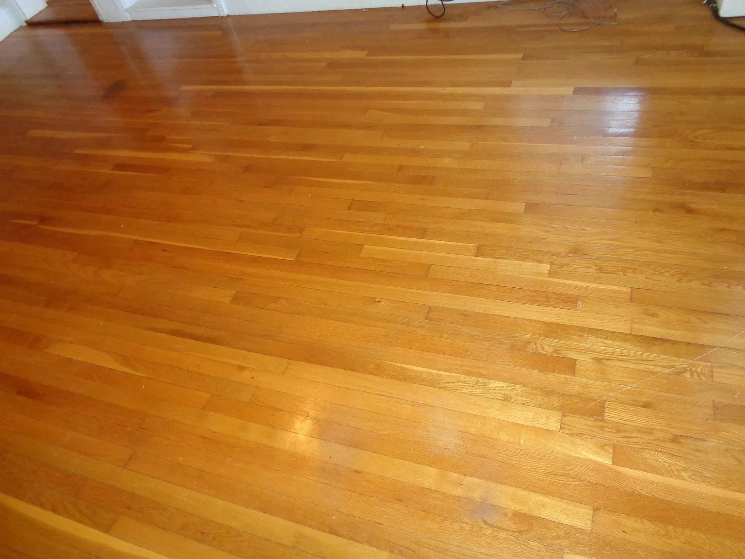 1 bed, 1107 sqft, $1,495 — Photo 3