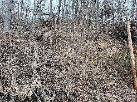 4th image of 65 Weeping Cherry Forest Rd