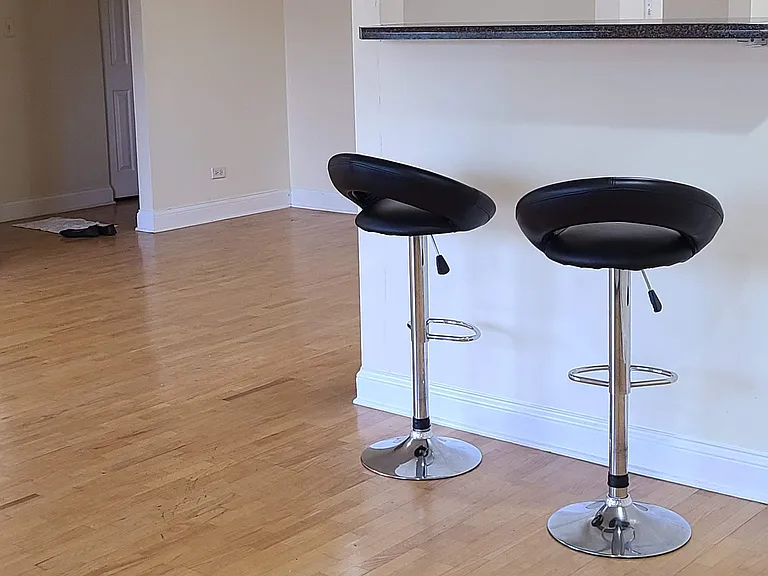 693 E Fullerton Ave #208 — Photo 13