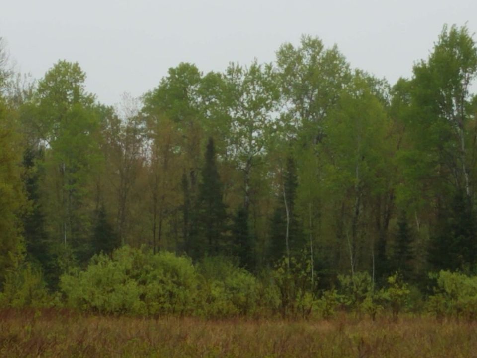 2nd image of W6597 County Rd E