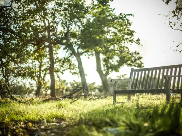 LOT 116 Majestic Hills Dr, Blanco, TX 78606