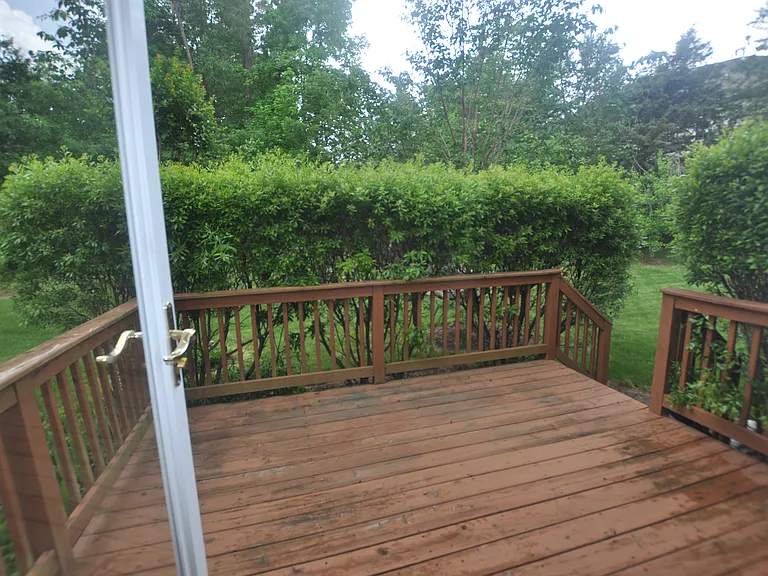 206 Charleston Ln — Photo 20