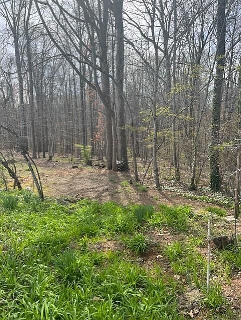 2nd image of 263 Ethel Ln