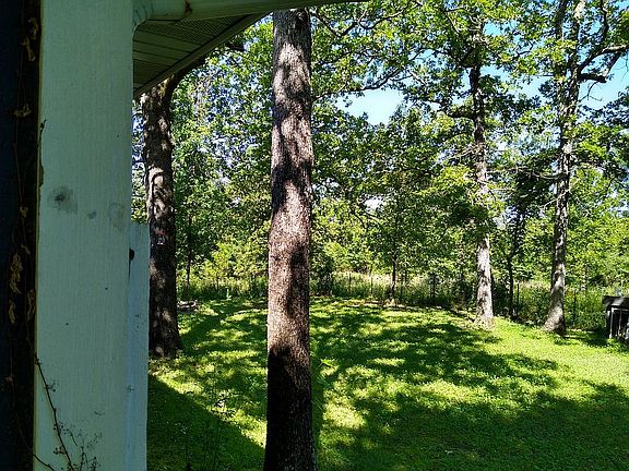 Peek into the backyard!