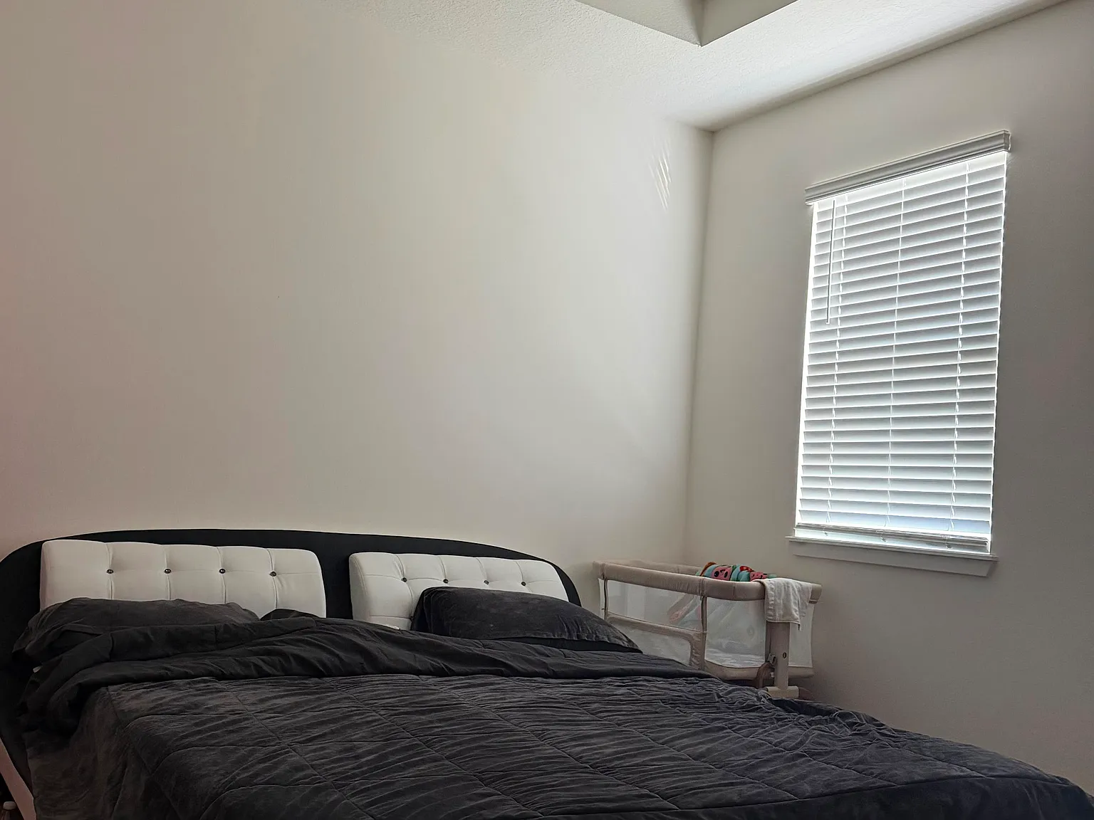 1 bed, 450 sqft, $1,500 — Photo 4