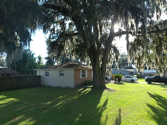 Large Oak Tree in the front yard