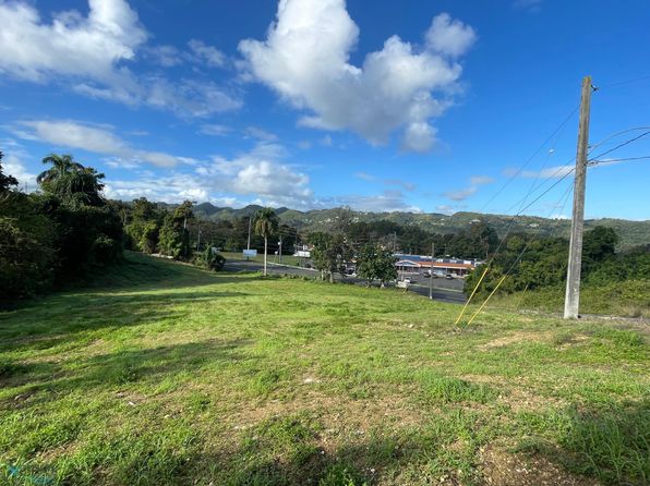Km 11.8 R Pr #149, Ciales, PR 00638