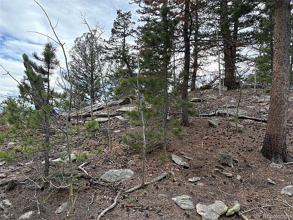 3rd image of 34251 Skyline Drive LOT 044124